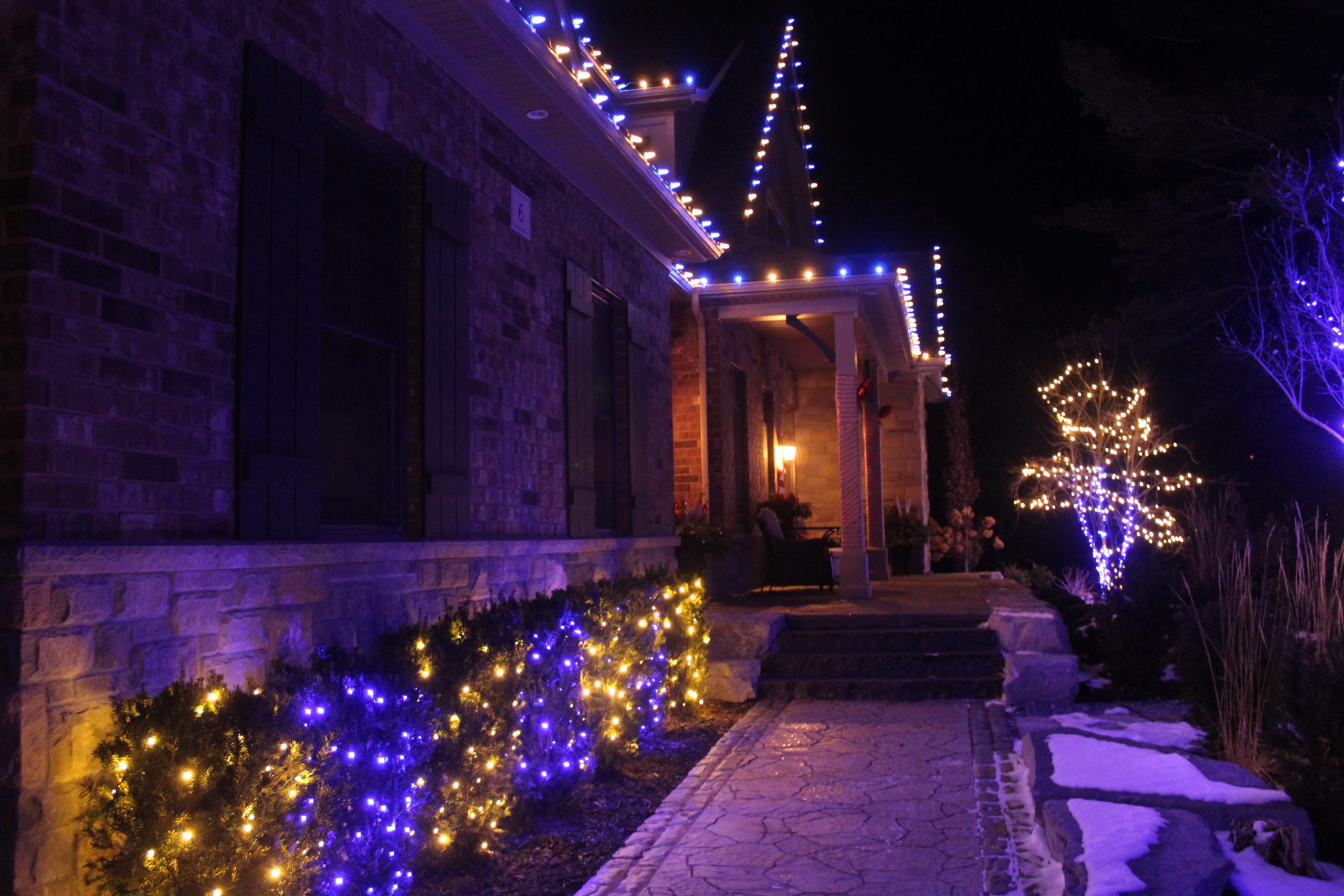Colorful Walkway and Lit Bushes